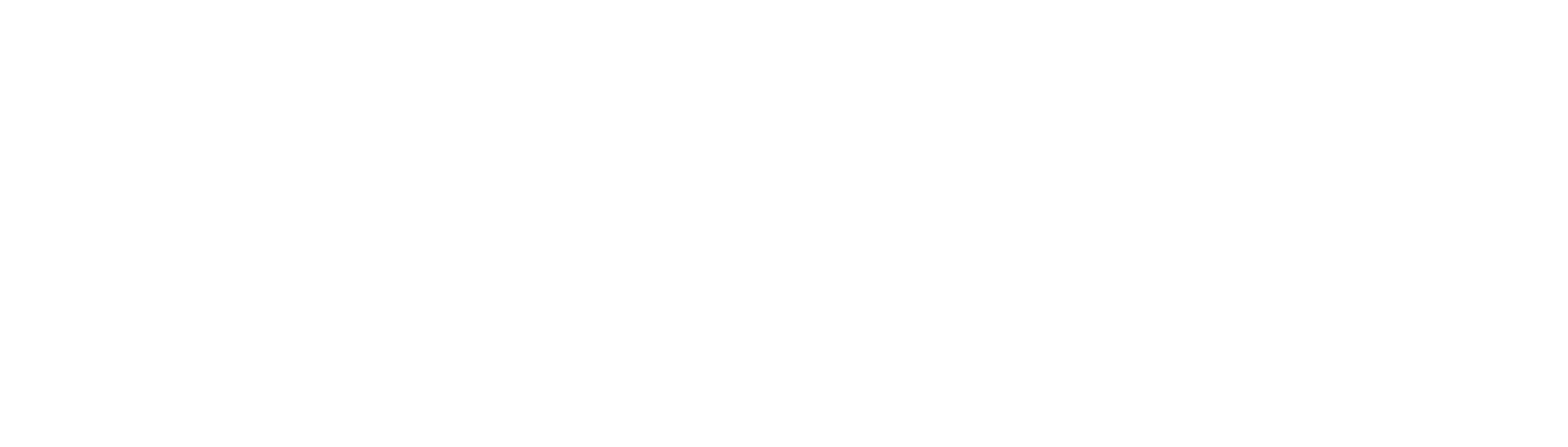 NEW Securities white NO INC